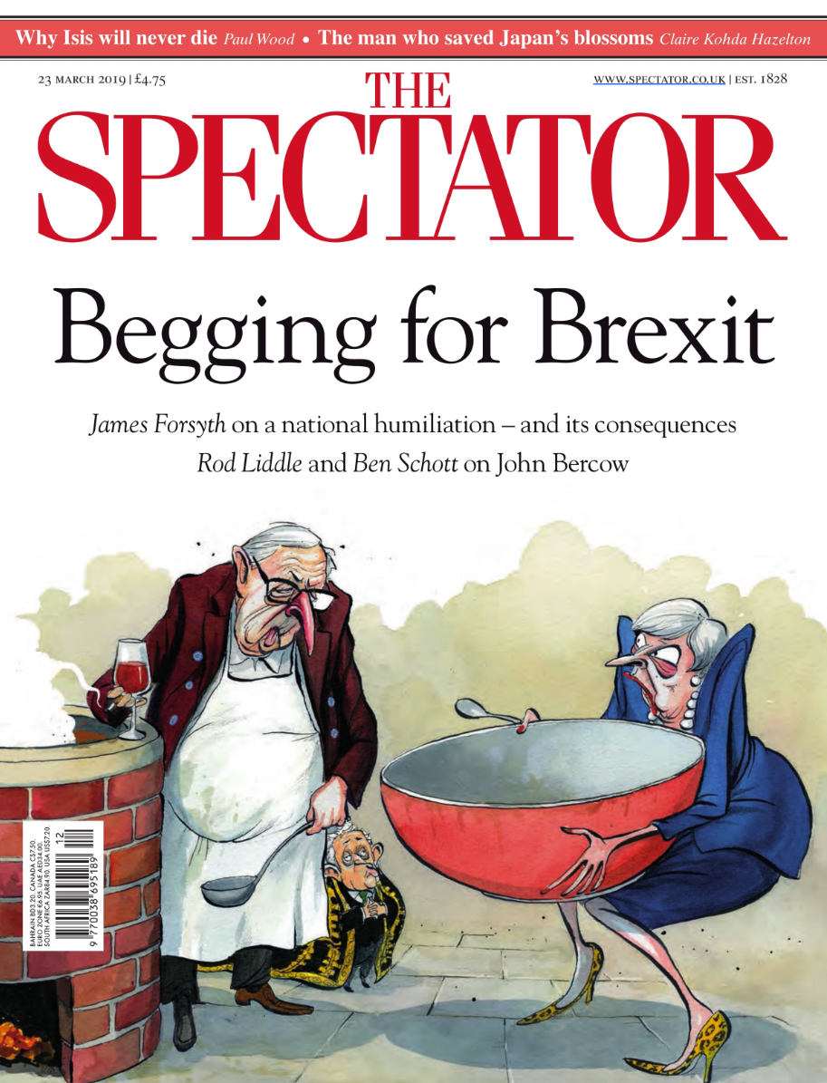 the-spectator